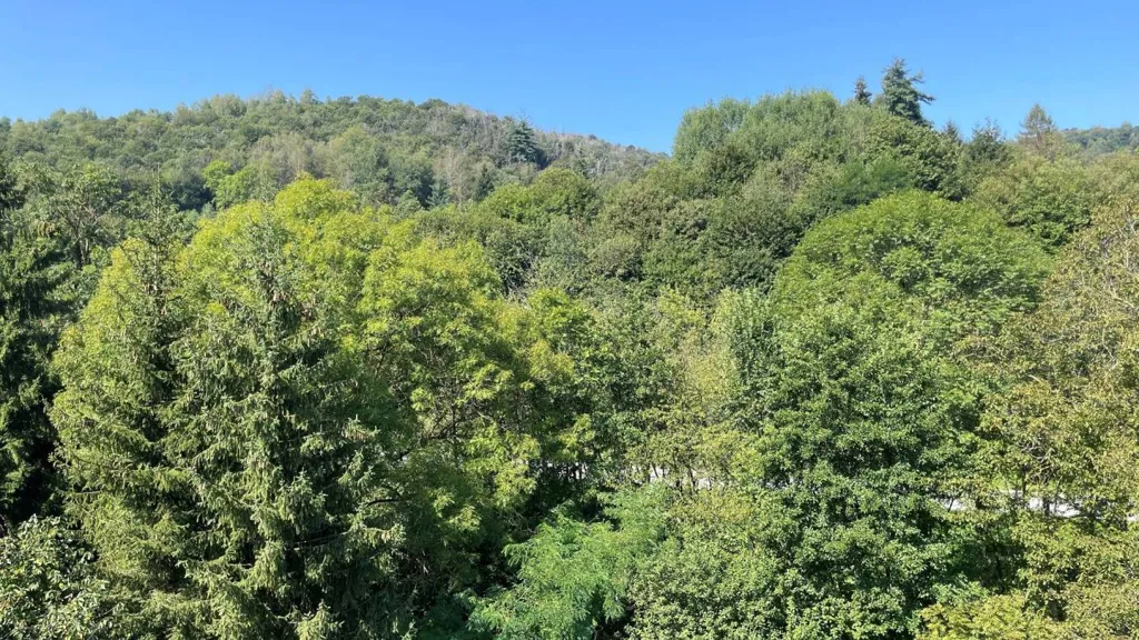 Garden - Spacious Apartment with Mountain View in Lurisia