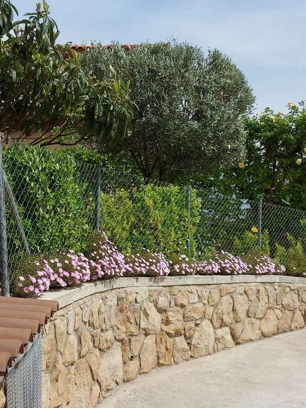 Jardin - Chalet with Pool in Navas del Rey