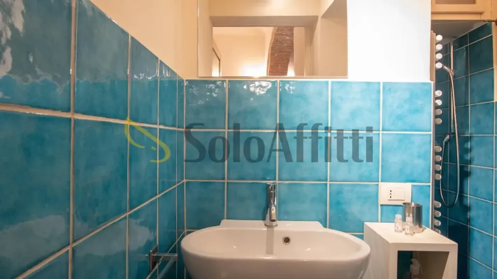 Vannitoad - Brightly Lit Studio in Central Florence