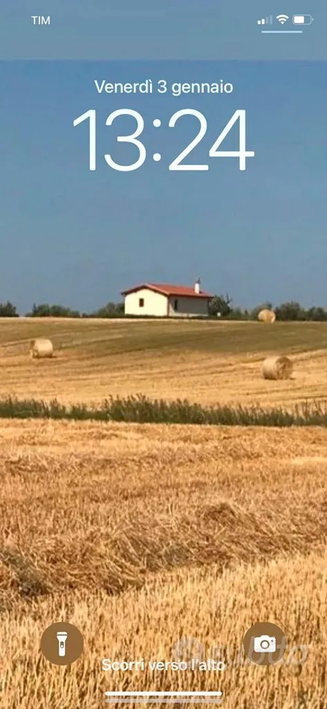 Terrain à IT