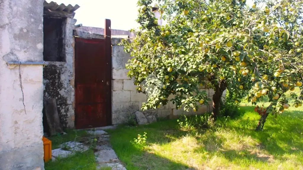 Aed - Traditional House with Garden in Carovigno