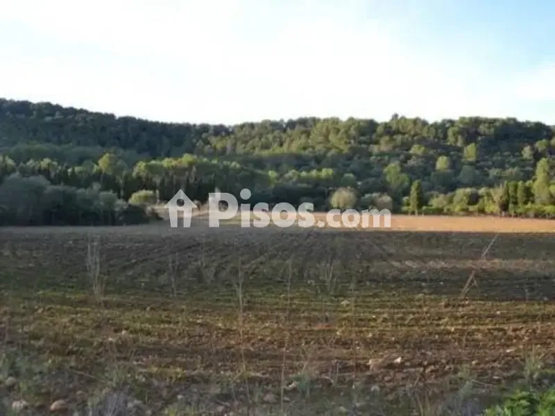 Jardin - Rustic House with 360° Views in Sa Pobla