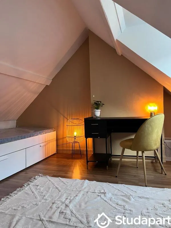 Toad - Spacious Student Room with South Orientation in Elbeuf