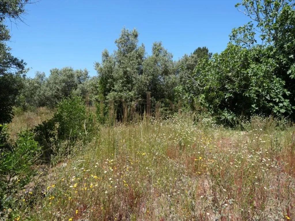 Jardin - Development Land with Approved PIP in Melides