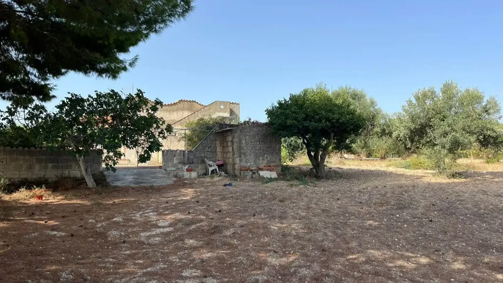 Aed - Villa with Olive Grove near Noto