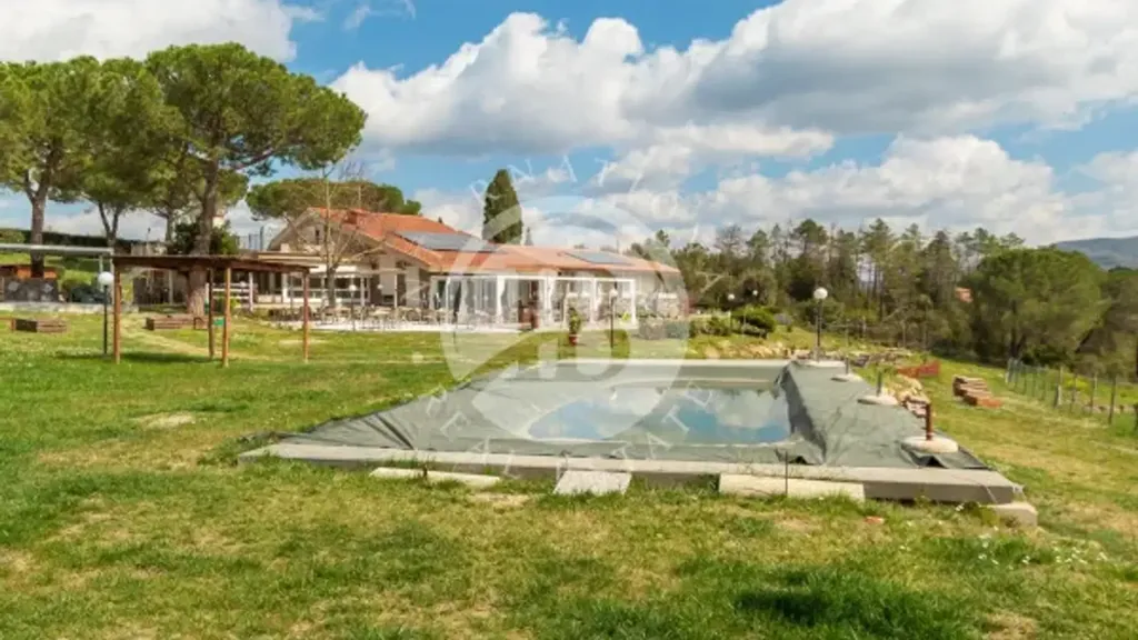 Piscine - Rustic Villa with Lake in Greve in Chianti