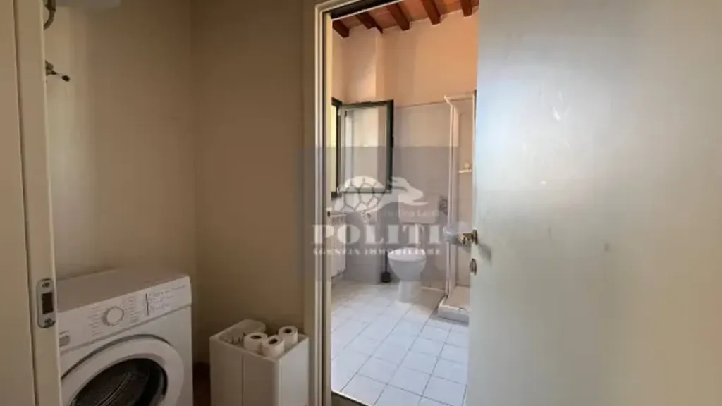 Buanderie - Rustic-Style Flat with Terrace in Fucecchio