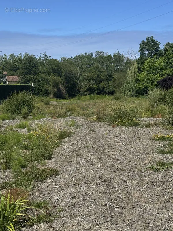 Jardin - Terrain à bâtir viabilisé à Bidart