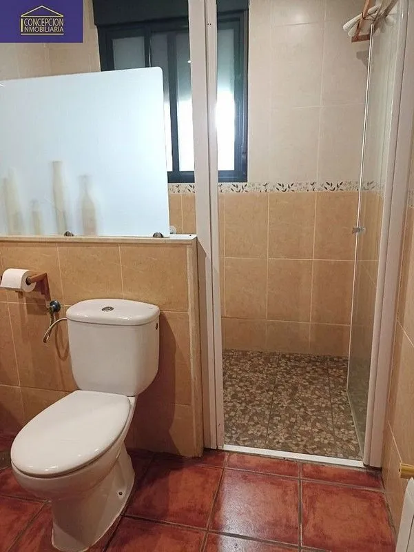 Bagni - Chalet with Pool in Alcolea