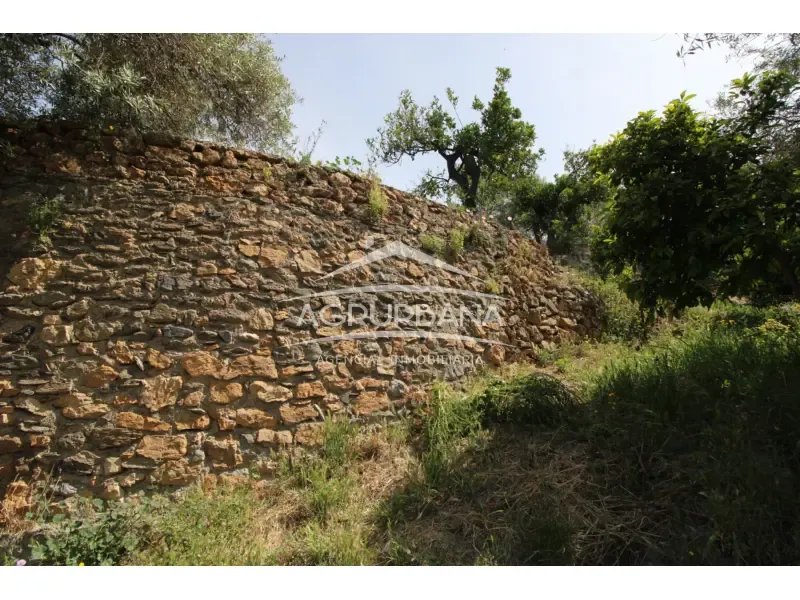 Aed - Rustic Farmhouse with Fruit Trees in Órgiva