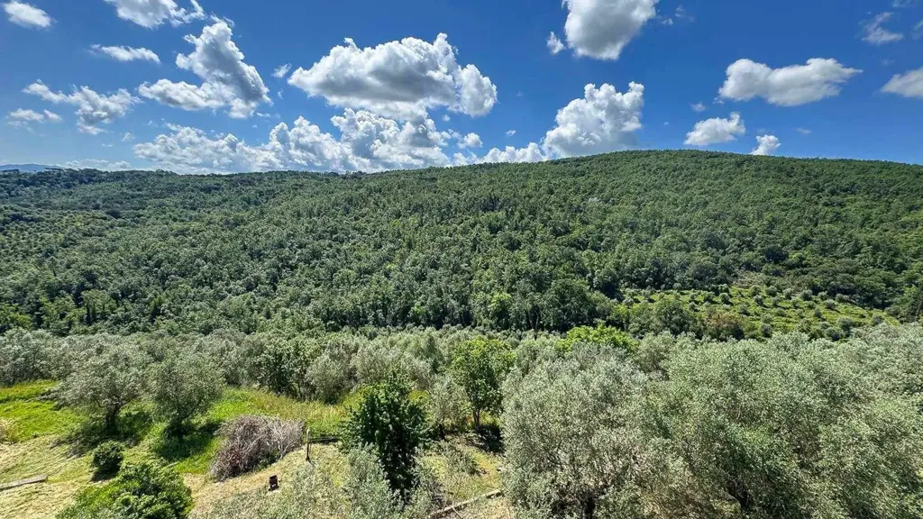 Jardin - Panoramic Bilocale with Garden View in Scandicci