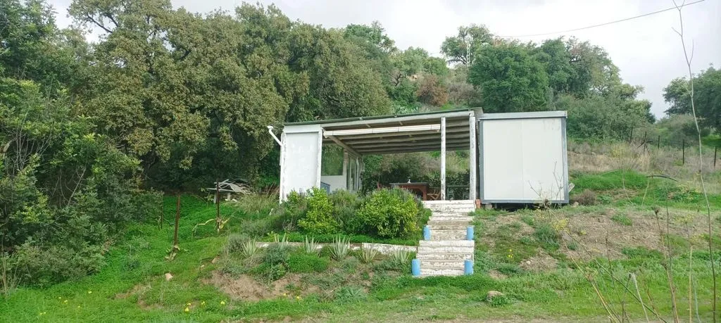 Jardin - Rustic Plot with Fruit Trees in Estepona