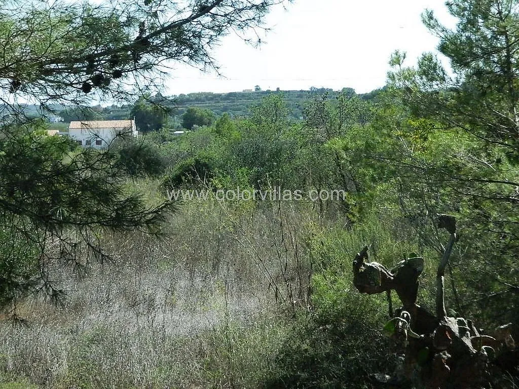 Giardino - Rustic Farmhouse with Terrace in Teulada
