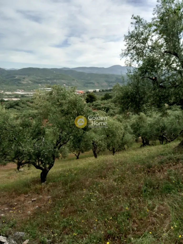 Terrain à GR
