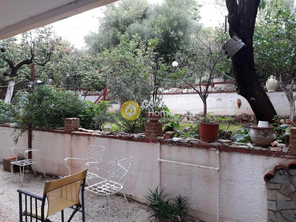 Terrasse - 11-Unit Building with Garden in Sarandá, Attica