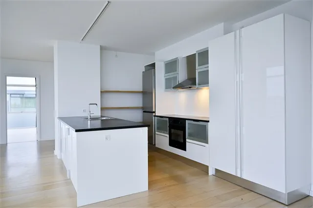 Cuisine - Penthouse with Terraces in Nyborg Harbour