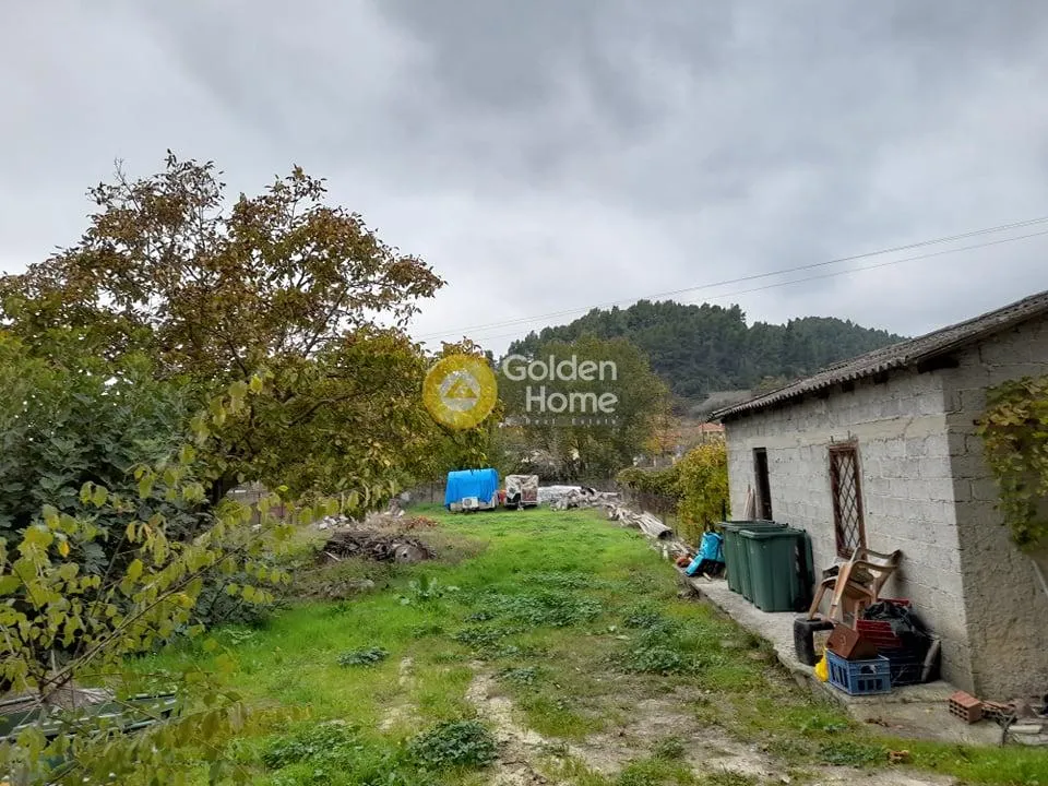 Aed - Buildable Plot with Forest View in Kassandra