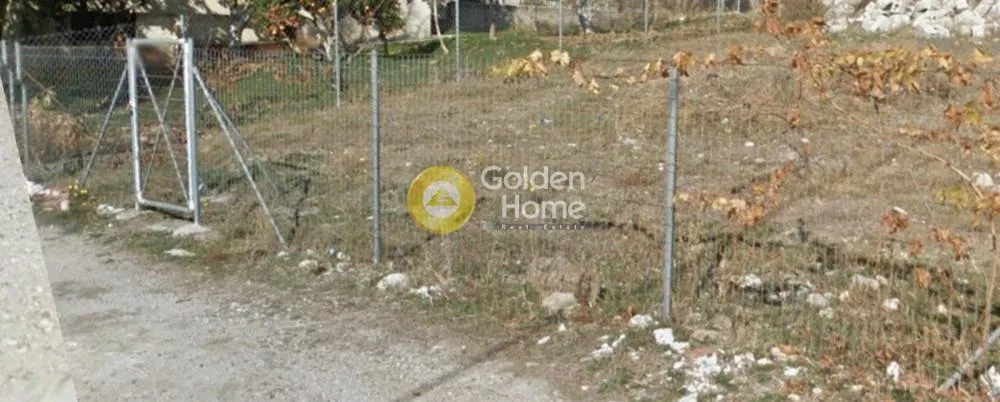 Jardin - Privileged Plot with Sea View in Port Rafaï