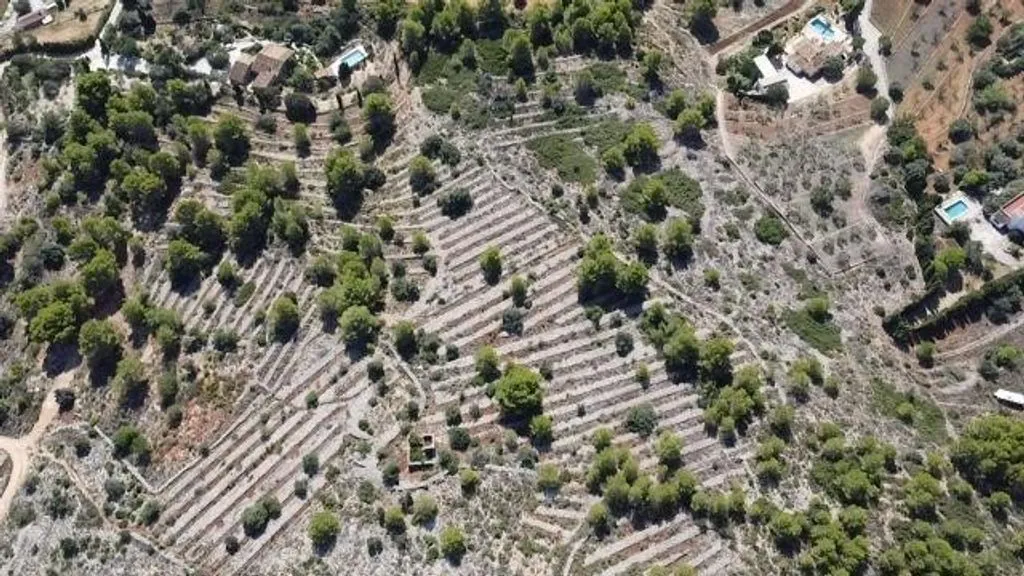 land_plot