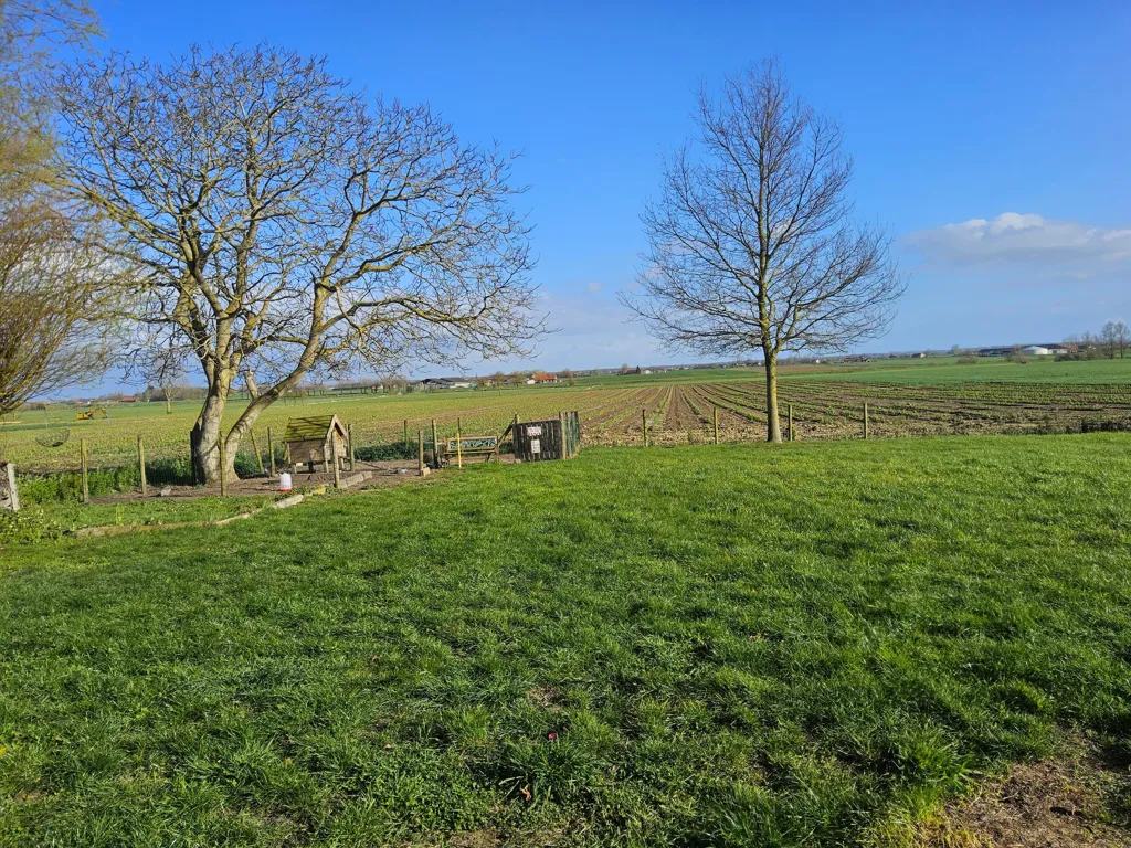 Aed - Historic House with Garden in Beveren