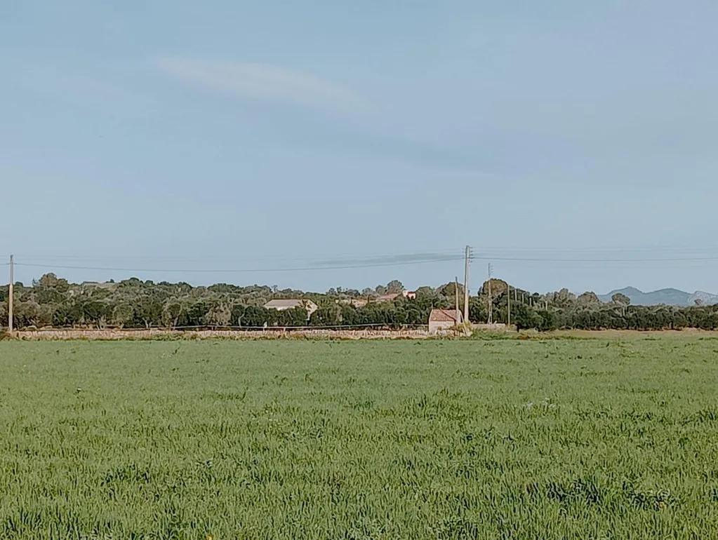 Aed - Land with Villa Project in Campos, Mallorca