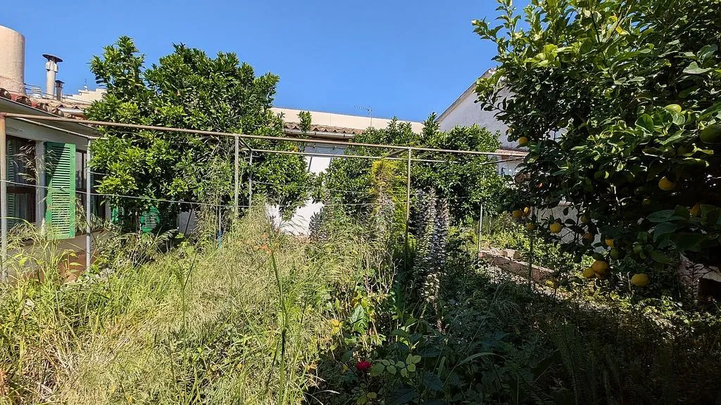 Aed - Adjoined Chalet with Terrace in Palma