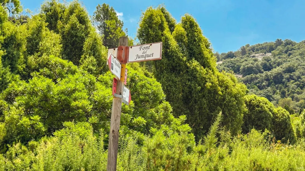 Eco-Resort Platform with DIC in Sierra Engarcerán