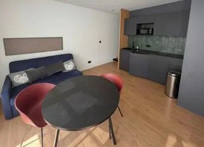 Séjour - Appartement Meublé T3 sans Vis-à-Vis à Saint-Étienne