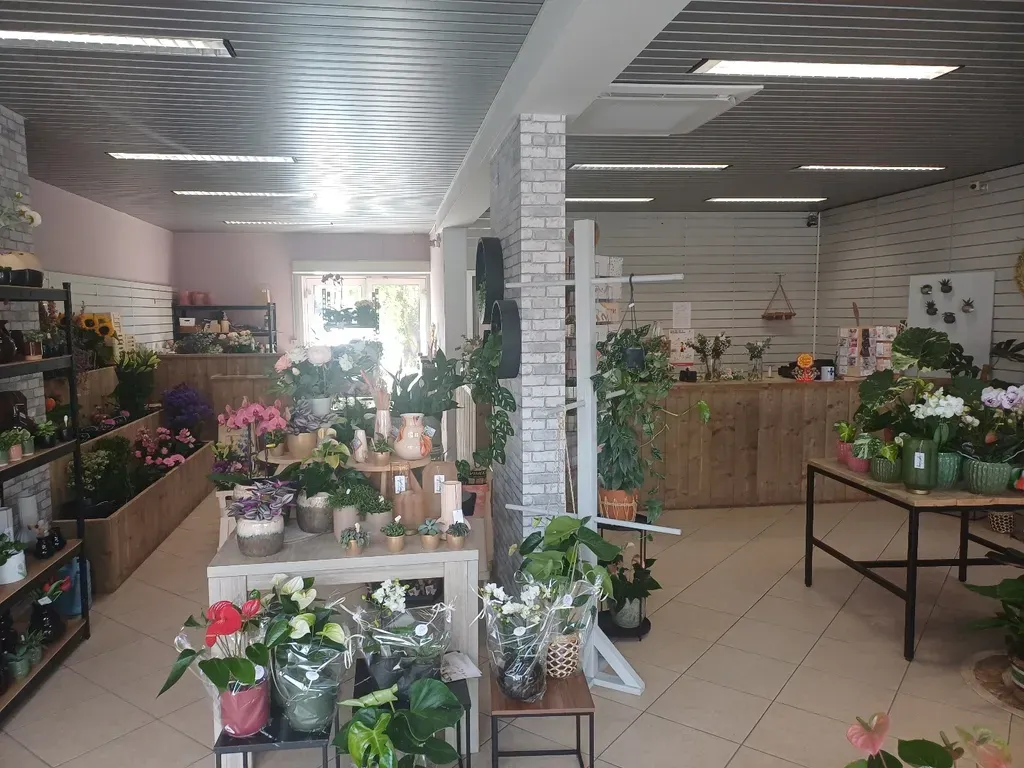 Toad - Commercial Space with Parking in Neerpelt Centre