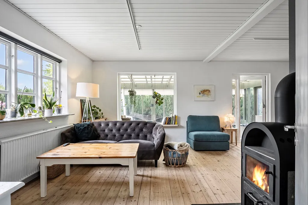 Séjour - Villa with Garden View in Birkende
