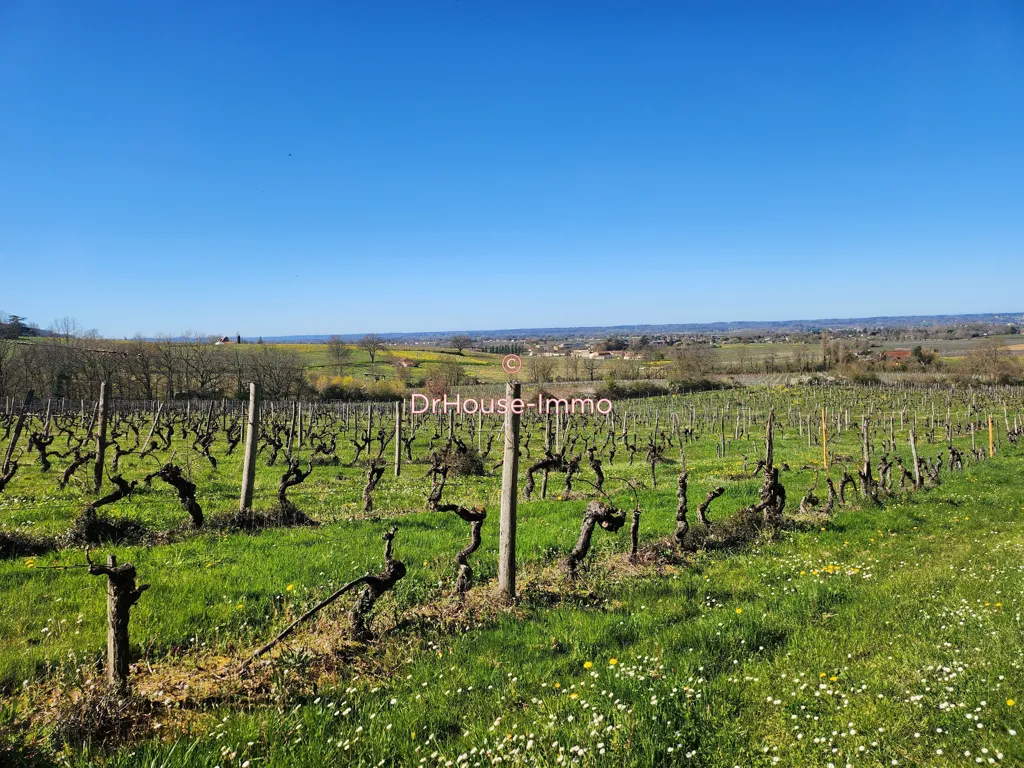 Jardin - Propriété Viticole avec Vignoble à Monbazillac