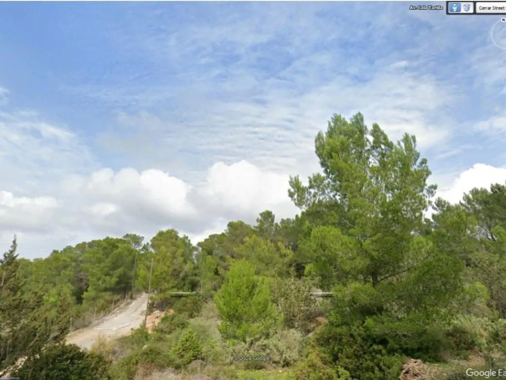 Jardin - Development Land with Sea Views near Cala Tarida