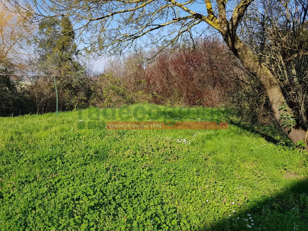Aed - Tuscan Villa with Garden in Collesalvetti
