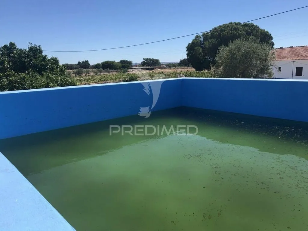 Piscine - Luxury Villa with Vineyard in Grândola