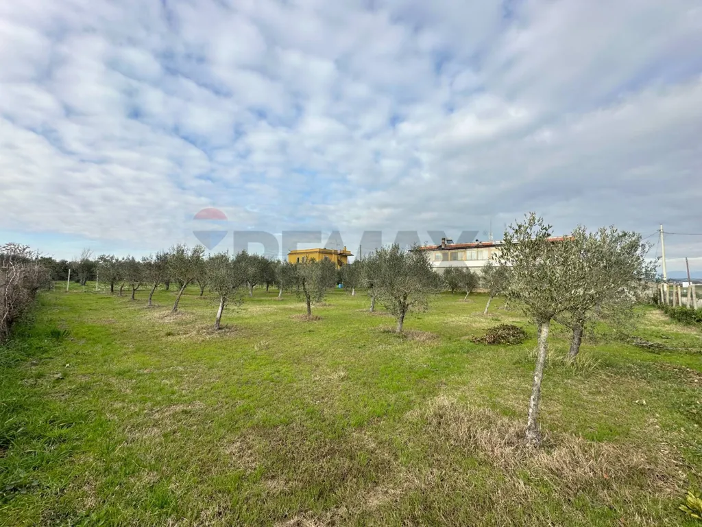 Garden - Buildable Plot in Campoverde, Aprilia