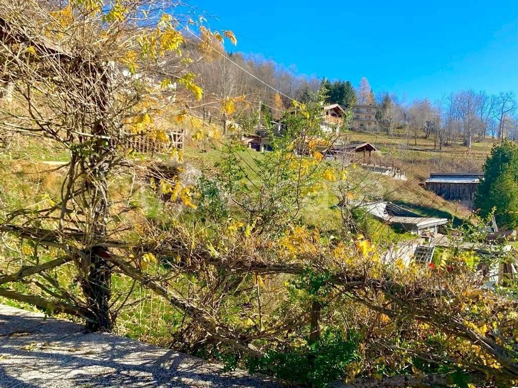 Aed - Mountain Chalet with Panoramic View in Sampeyre