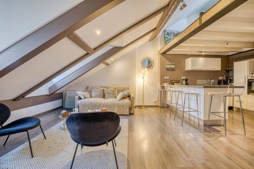 Séjour - Appartement Loft dans le Vieux-Annecy