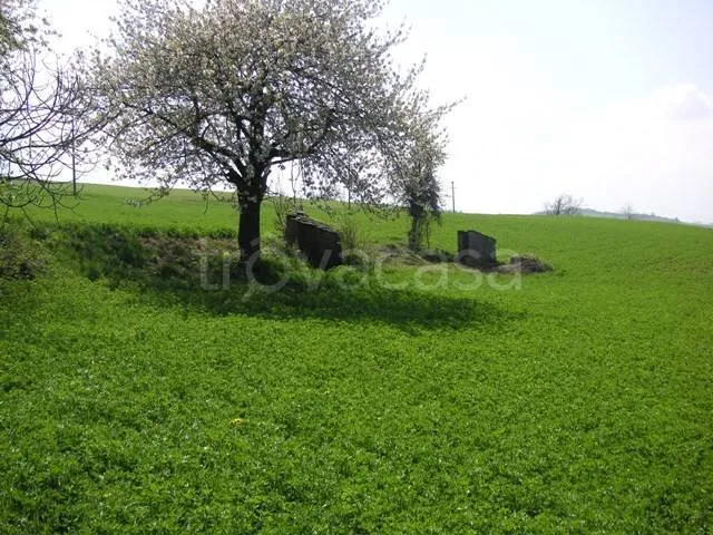 Garden - Rustic Stone Casale with Cultivable Land in Murazzano