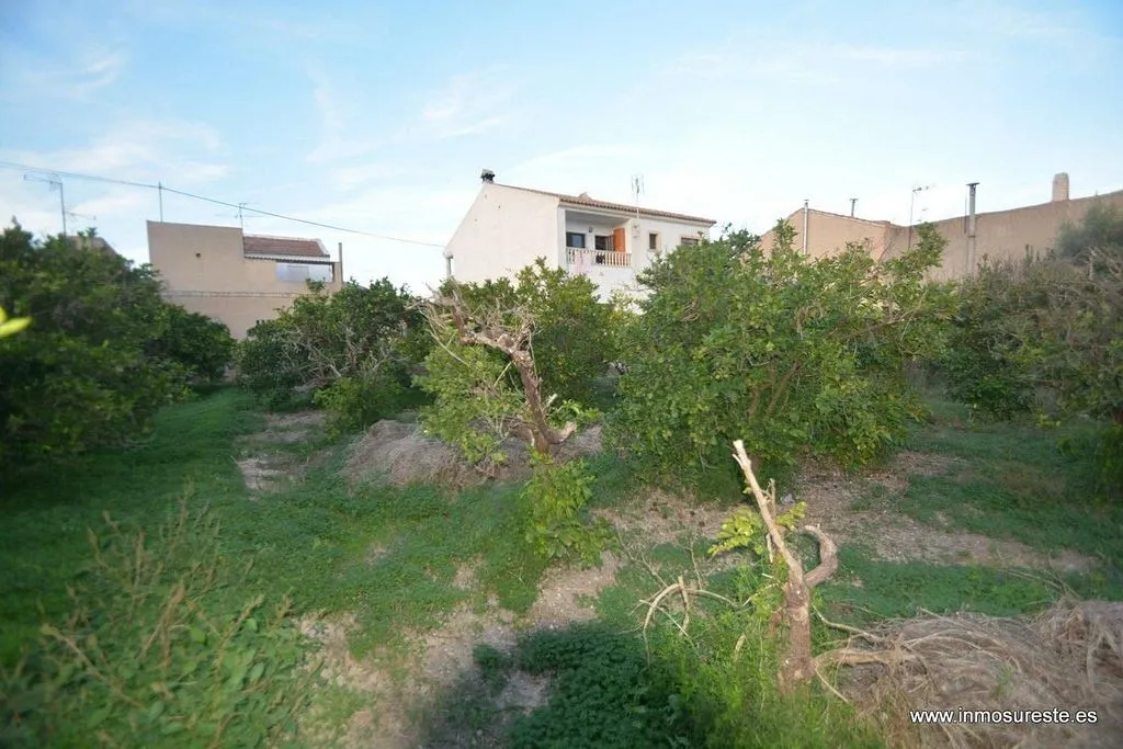 Jardin - Chalet with Terrace in Orihuela