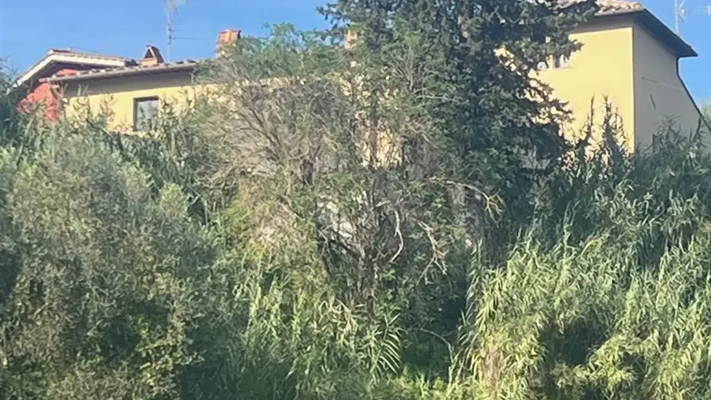 Extérieur - Colonica with Olive Grove in San Casciano