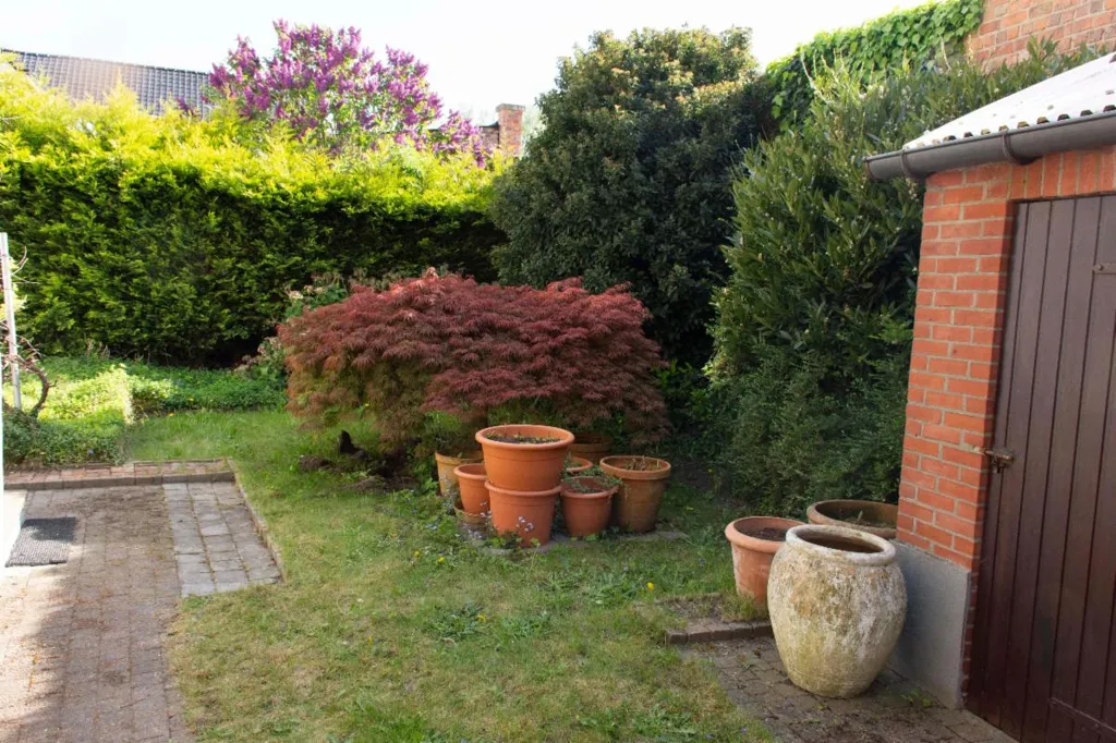 Jardin - Herenwoning Centrale à Waasmunster