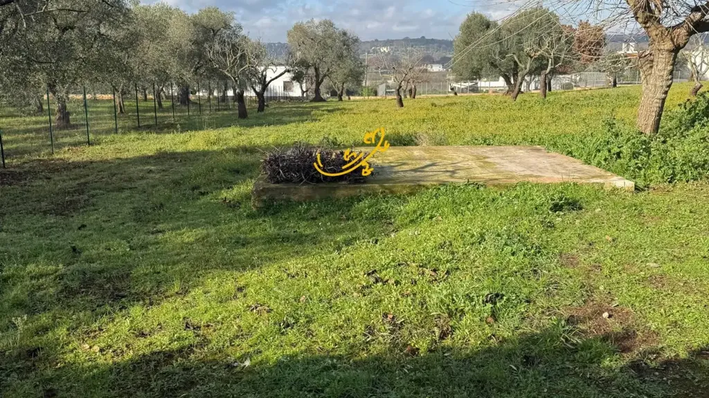 Aed - Villa with Trulli Charm in Ceglie Messapica