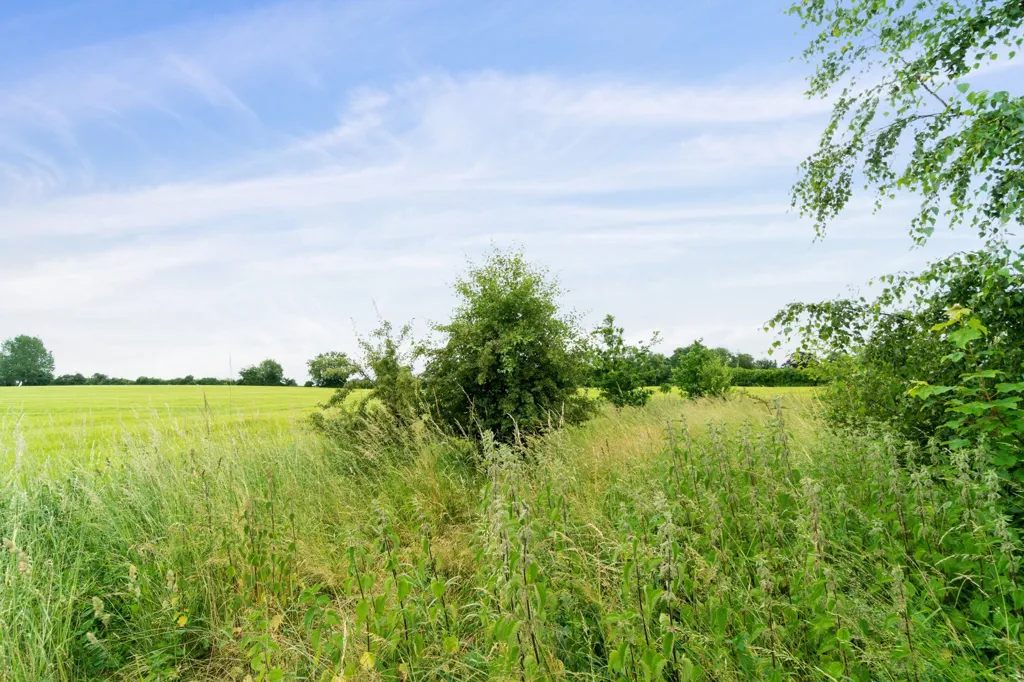Jardin - Year-Round Plot with 5G Coverage in Orup