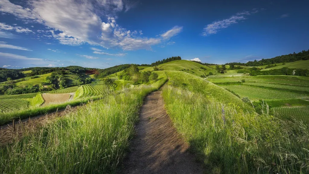 Agricultural Land with Solar Exposure in Serravalle