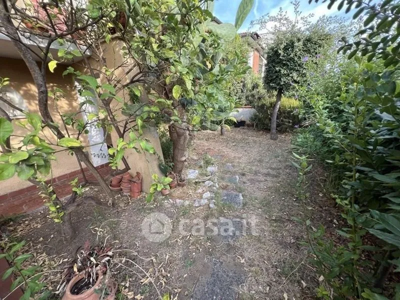 Jardin - Independent Villa with Garden in Cecina