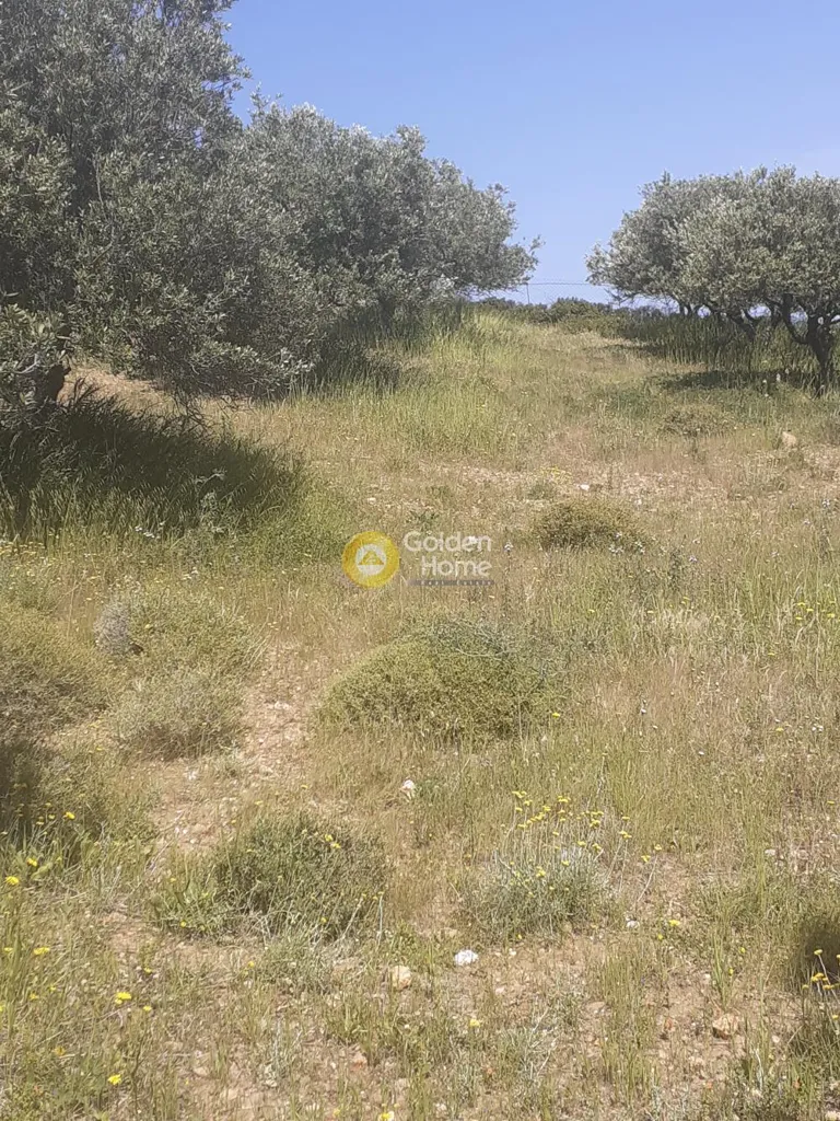 Terrain à GR