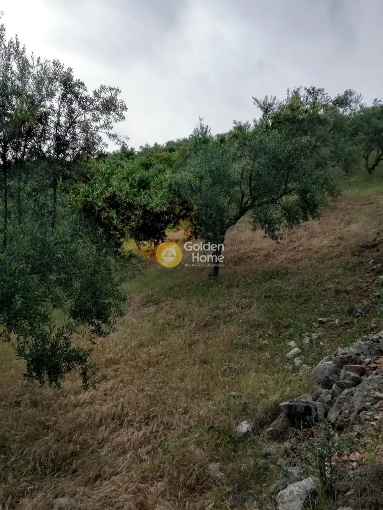 Terrain à GR