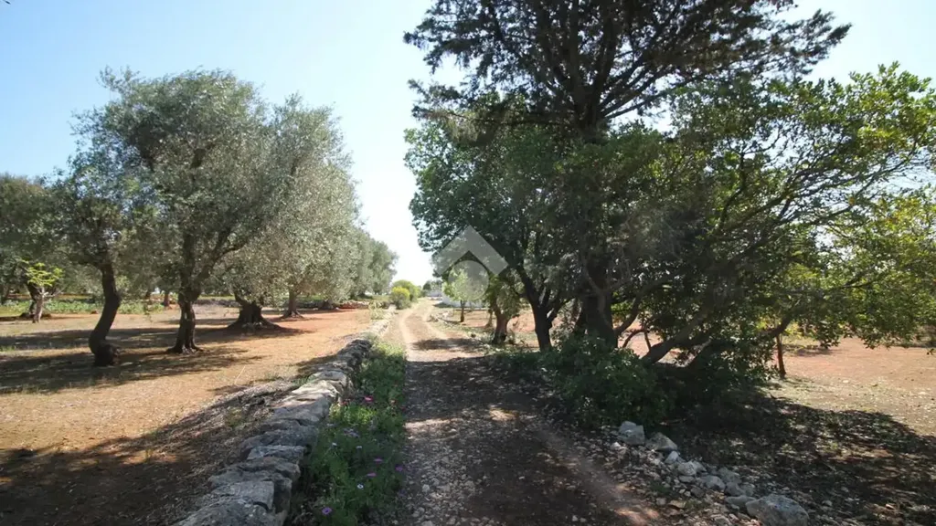 Rustic Cottage with Buildable Land near Ostuni
