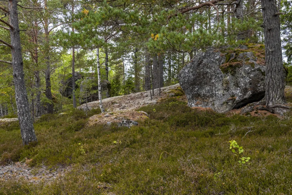 Aed - Plot with Forest View in Södertälje
