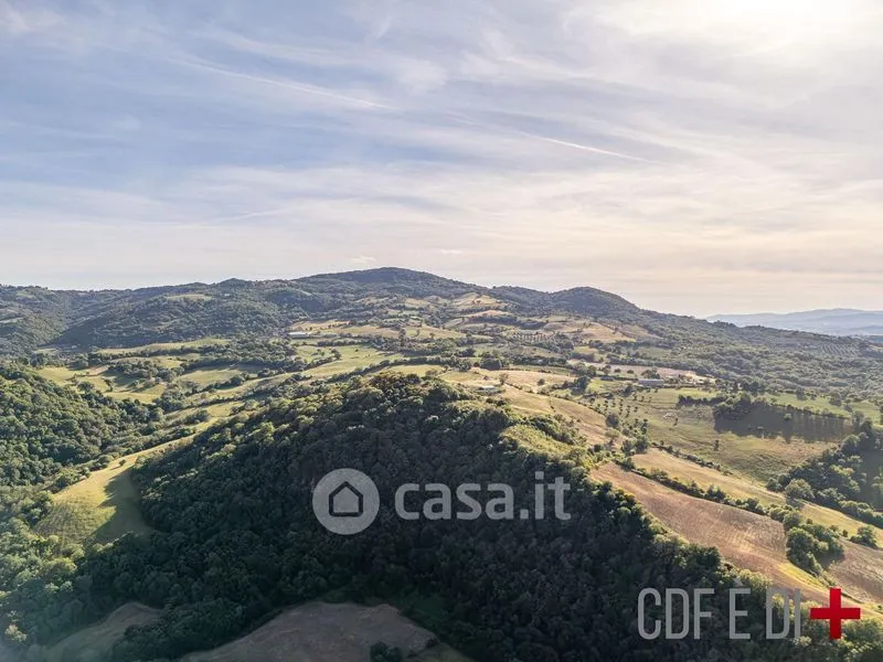 Õhuvaade - Rural Podere with 24 Hectares in Scansano